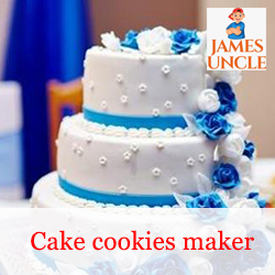 Cake maker Mrs. Piyali Ghosh in Nonachandanpukur